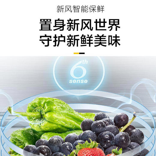 惠而浦（Whirlpool）409升冰箱 法式四门冰箱 0度锁鲜免解冻 凌度系列BCD-409WM04GBWS星光银 商品图5