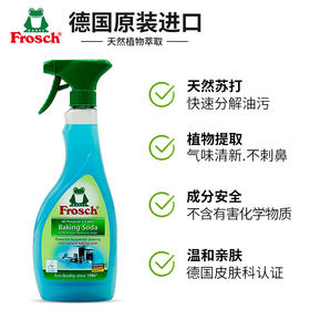 Frosch厨房重油污清洁剂 易好