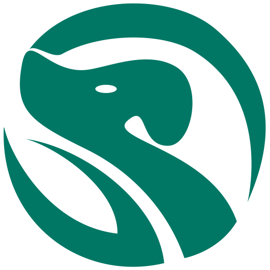 瑞派长江线上商城