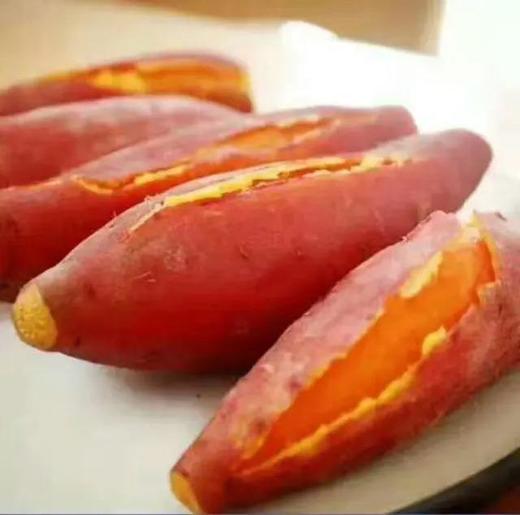 「帮卖助农」六鳌沙地瓜5斤/箱