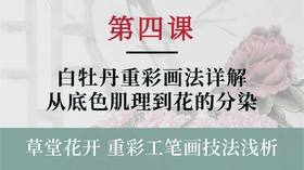 第四课- 白牡丹重彩画法详解 从底色肌理到花的分染丨杨永权老师