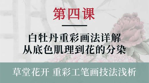 第四课- 白牡丹重彩画法详解 从底色肌理到花的分染丨杨永权老师 商品图0