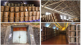 24. 窖藏，六堡茶区别于其它黑茶的特点之一