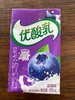优酸乳乳饮料——蓝莓味 商品缩略图0