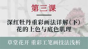 第三课- 深红牡丹重彩画法详解（下）花的上色与底色肌理丨杨永权老师