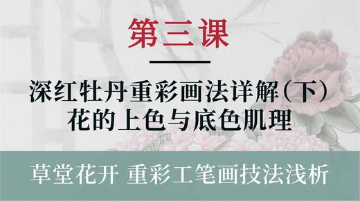 第三课- 深红牡丹重彩画法详解（下）花的上色与底色肌理丨杨永权老师 商品图0