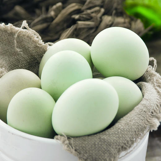 看川散养绿壳土鸡蛋 30枚