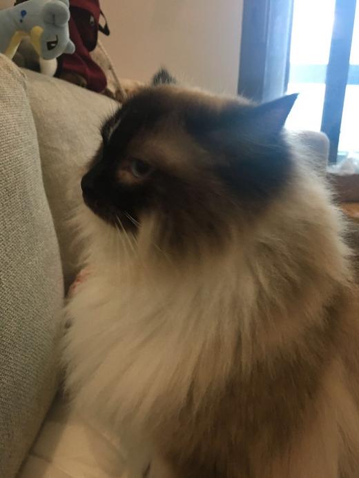 小程序价格日历多sku商品 商品图0