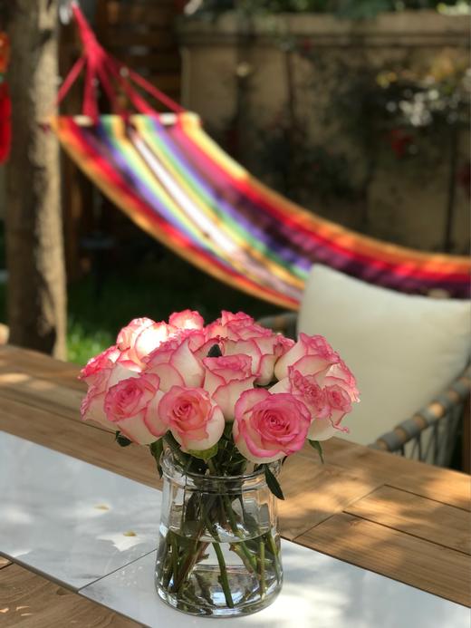 【周四秒杀】爱莎玫瑰15枝49.8元 商品图1