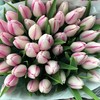 12月18日郁金香-粉白37cm 30g first class-10支 商品缩略图0