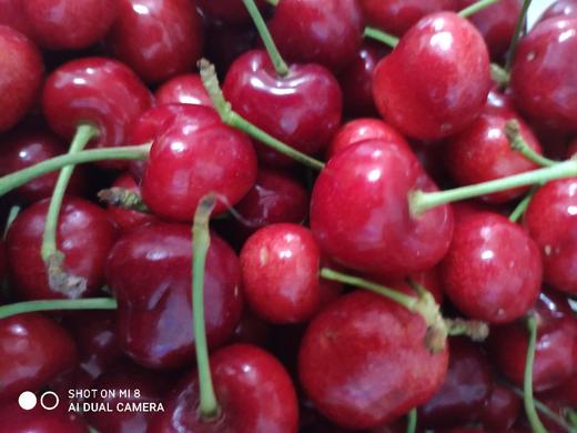 红樱桃2斤/盒 商品图1