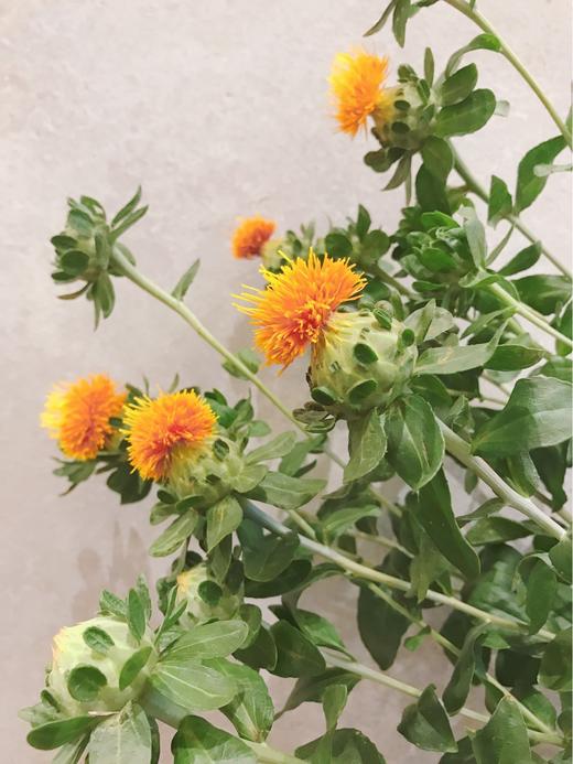 【周四团购】橙菠萝39.8元 2人拼团 商品图2