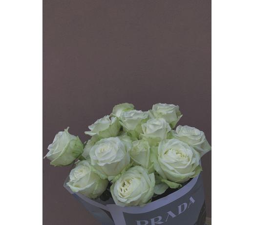 【周四团购】白雪山玫瑰39.8元 2人拼团 商品图1