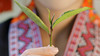 27. 梧州中茶是如何做好六堡茶质量控制？ 商品缩略图0