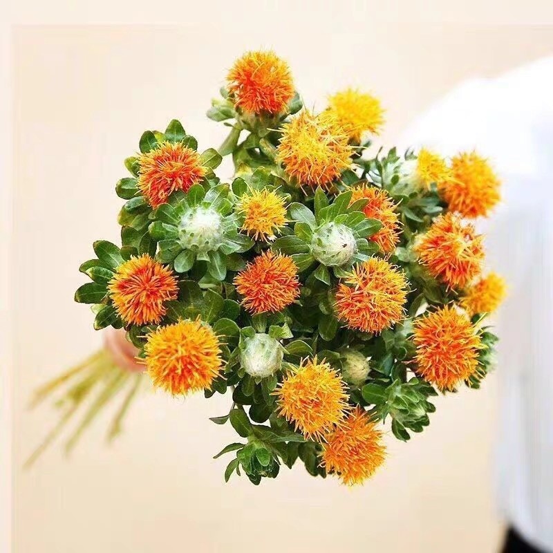 【周四团购】橙菠萝39.8元 2人拼团