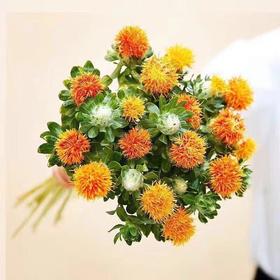【周四团购】橙菠萝39.8元 2人拼团