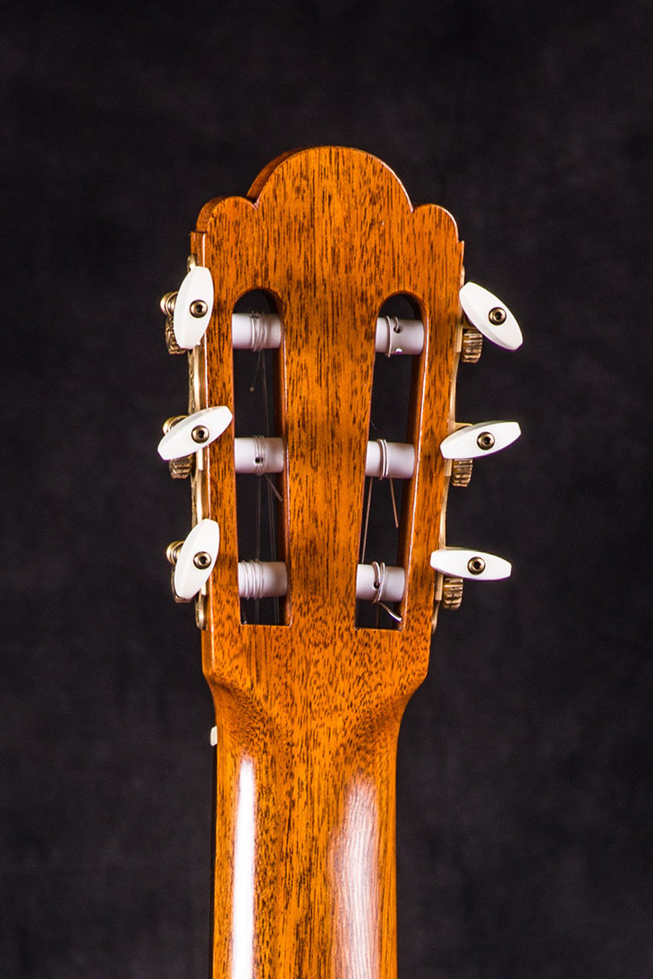 格纳德·奥迪格斯 gerhard j. oldiges 古典吉他