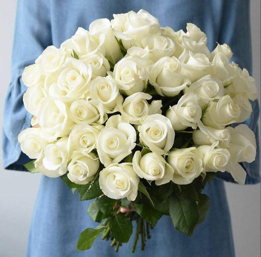 国产玫瑰-雪山-20枝/扎 商品图0