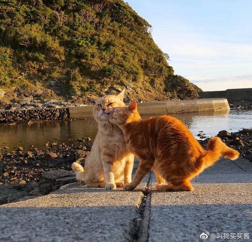 德炆秒杀商品-勿动 商品图0