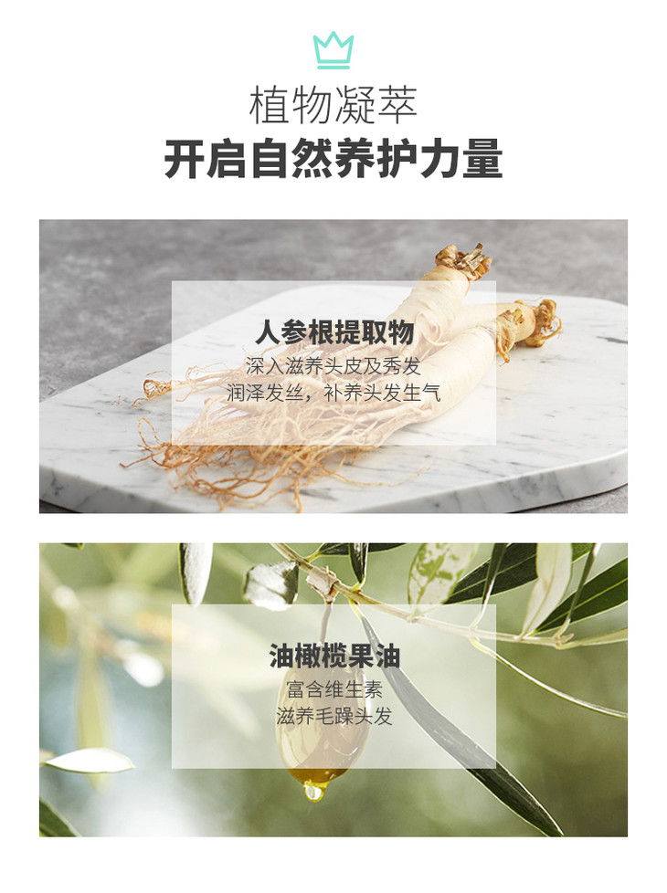 人参橄榄洗发水_06.jpg