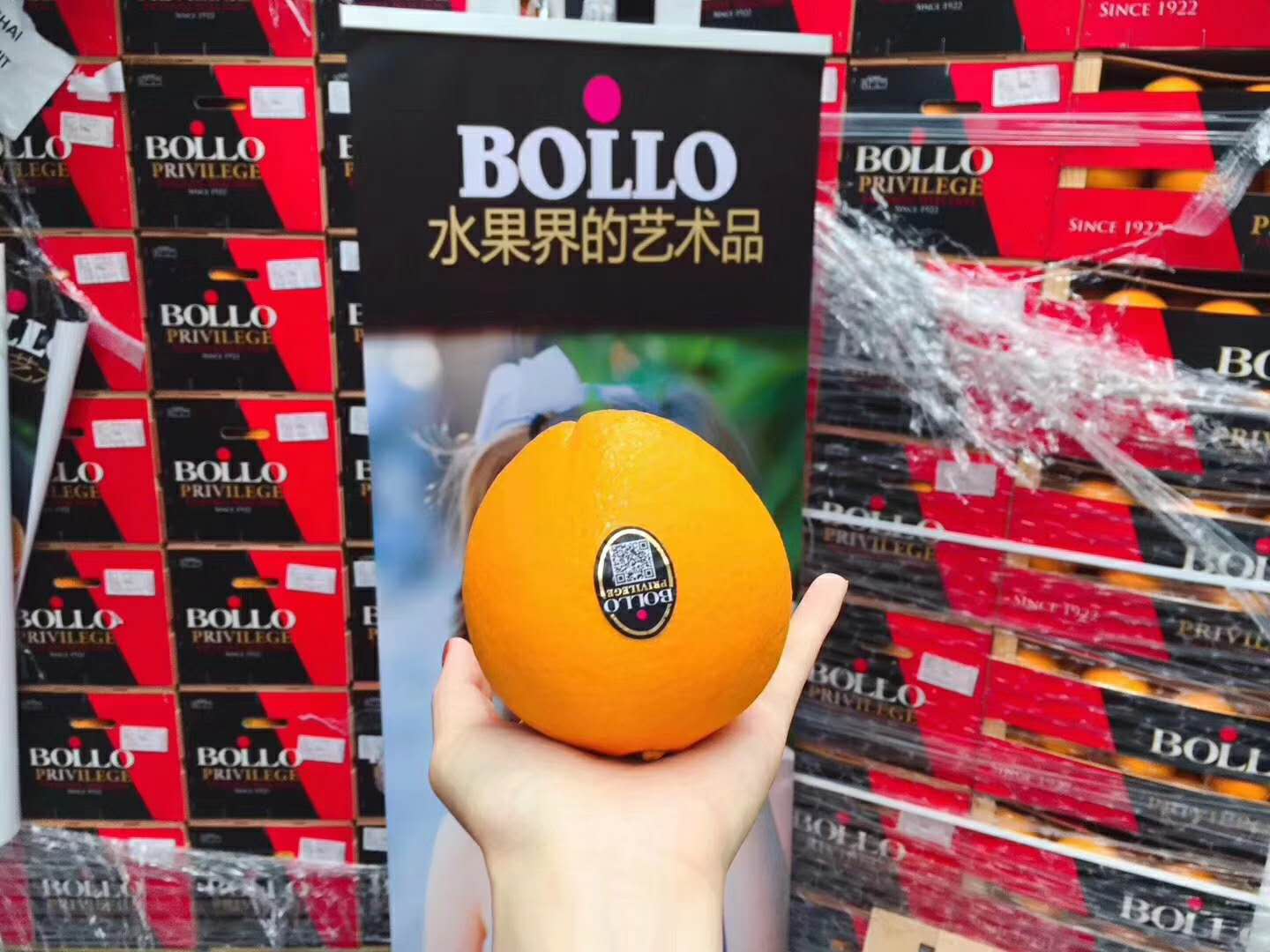 西班牙进口bollo宝露麻袋甜橙15kg67颗装袋