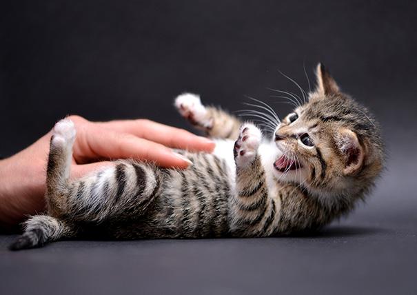 班长课堂022 | 揉腹真的有用么？