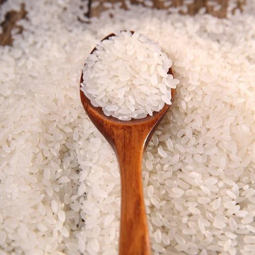 【云语-粮油】宝应南粳软香米 10斤袋装 20斤袋装