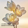 Dior迪奥 真我香水50ml/100ml 经典女士香水浓香EDP 优雅花香 商品缩略图1