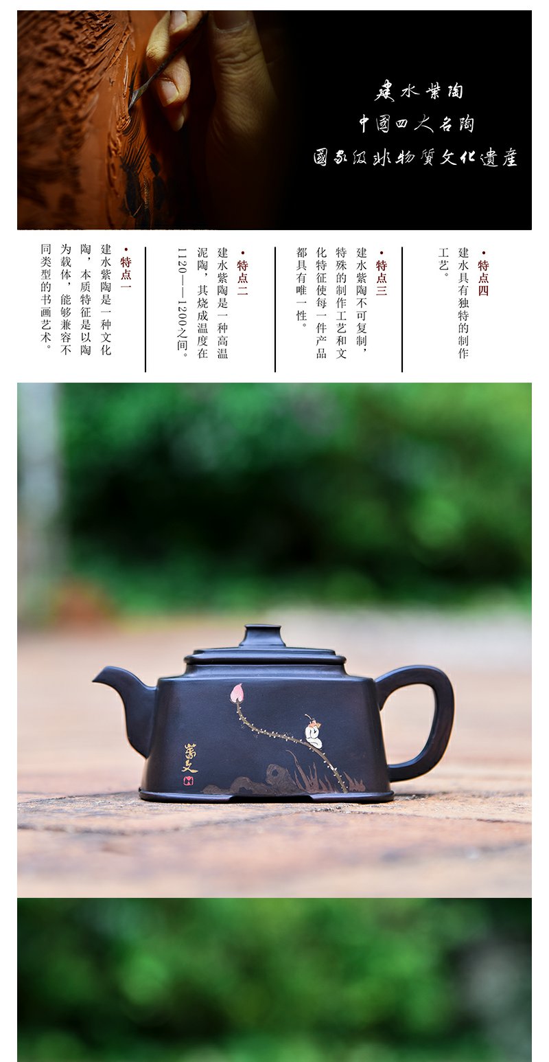 云南建水紫陶滇南陶韵名家李丛兵全手工制作方壶包邮