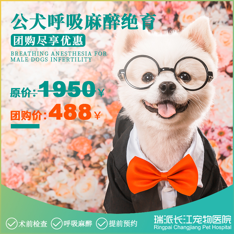 【到店服务】公犬绝育套餐