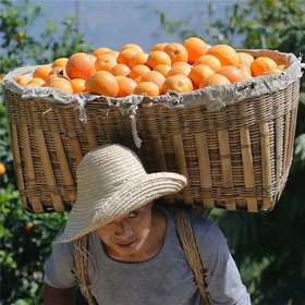 七月美食觉醒计划