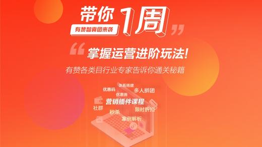 新商家运营进阶-经典营销玩法解析 商品图0