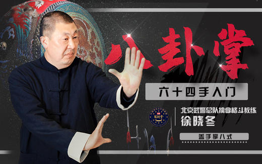 八卦六十四手入门教程 商品图0