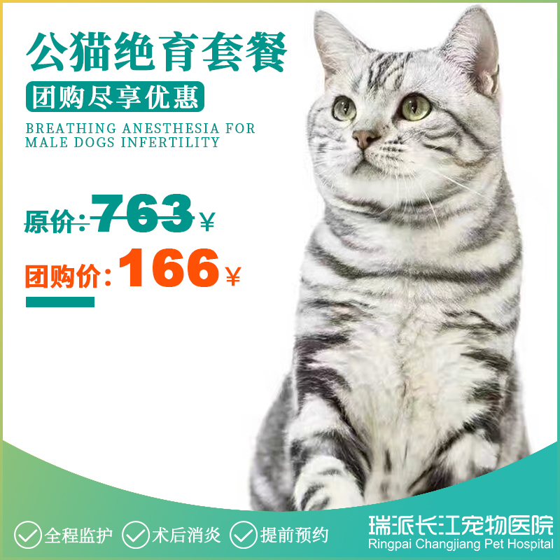 公猫去势套餐，需提前1-3天预约