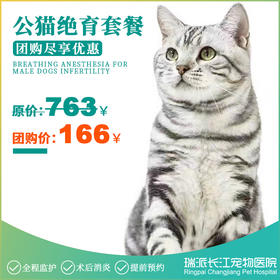公猫去势套餐，需提前1-3天预约
