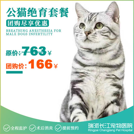 公猫去势套餐，需提前1-3天预约 商品图0