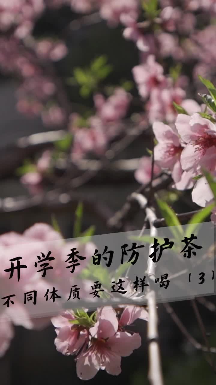 气虚质—玉屏风茶