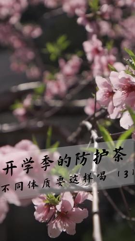 气虚质—玉屏风茶