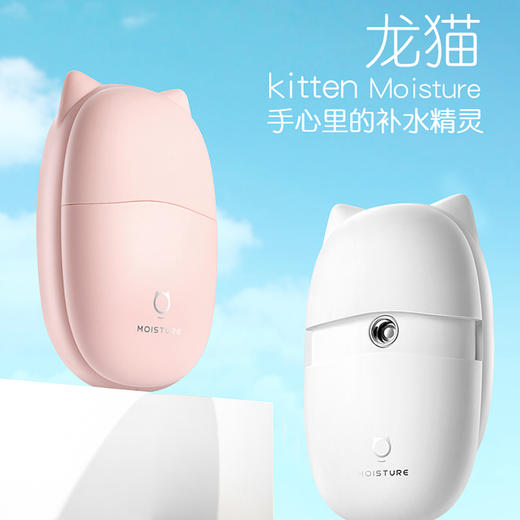 龙猫补水仪 商品图0