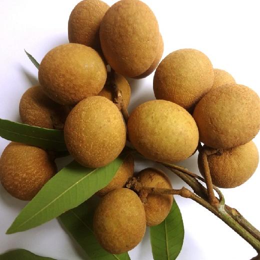 泰国鲜龙眼3-5斤|果肉晶莹 清甜多汁 皮薄核小【应季蔬果】 - 洋有品m