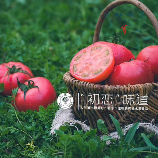 【排单3天发货】新疆“初恋”有机西红柿/番茄（基地直发-顺丰空运）|礼盒装、家庭装，来自新疆库尔勒，生产者：王忠军 商品图14
