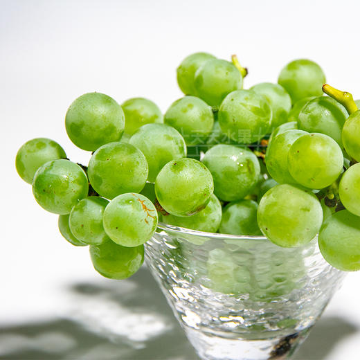 香甜水晶葡萄超多水分