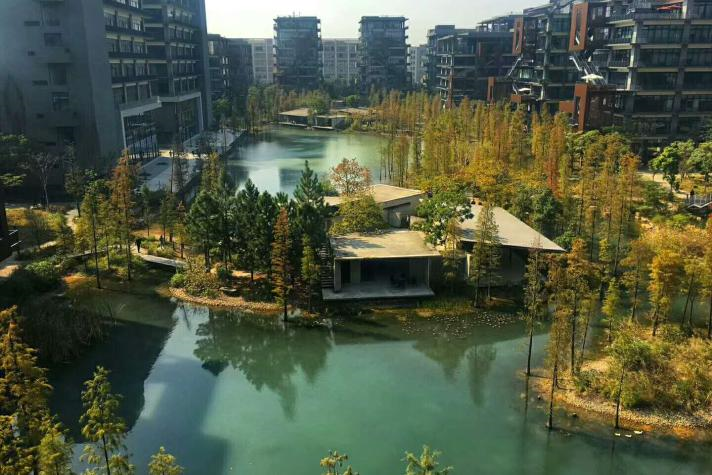 十一亲子微旅行10月5日 梧桐岛