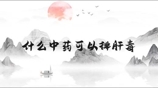 什么中药可以排肝毒 商品图0