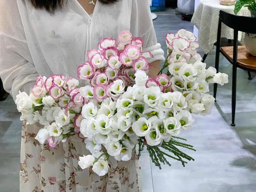 【周四团购】短笛桔梗一把39.8元 2人团购 商品图0