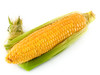 水果玉米  Corn 商品缩略图0