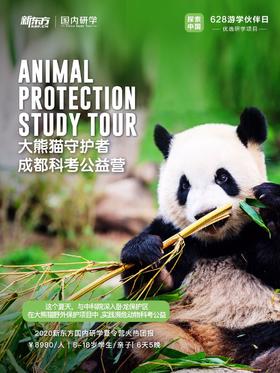  99公益日，和新东方一起组团保护大熊猫！ 