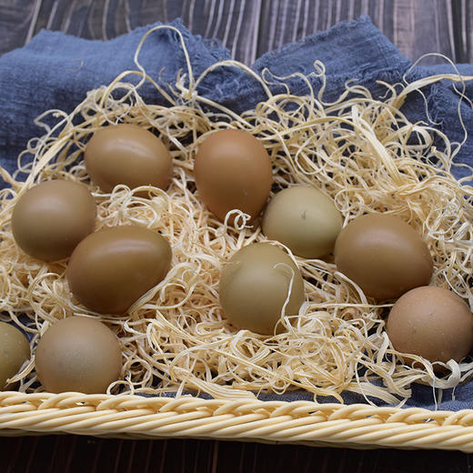 【厂销】贵阳 云岩【 吉鸿·金坝七彩野鸡蛋】30枚 贵州省内包邮