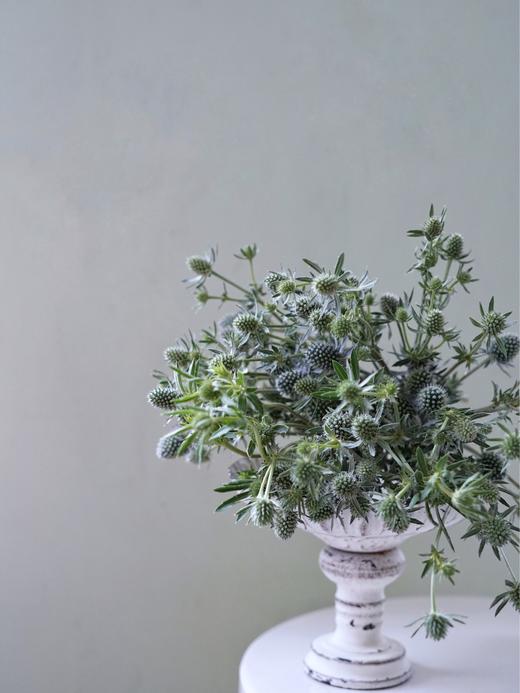 【周四团购】刺芹一把49.8元 2人拼团 商品图4