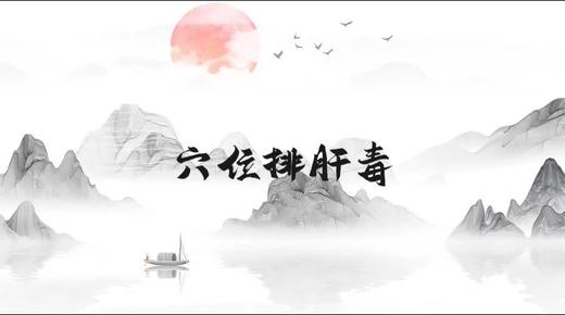 穴位排肝毒 商品图0